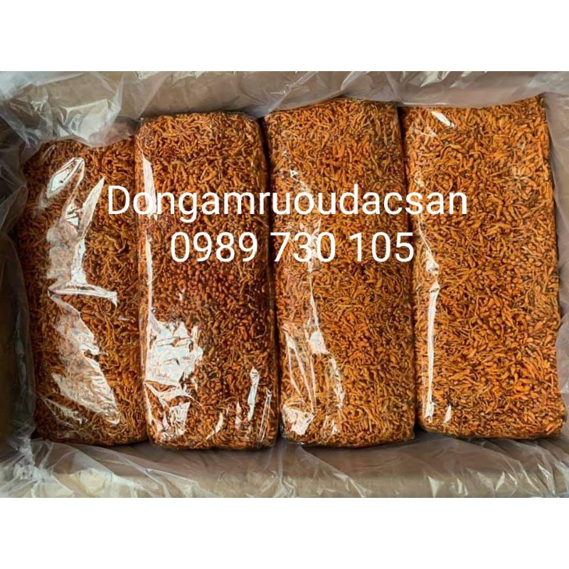 ĐÔNG TRÙNG HẠ THẢO VIP 1KG hàng nấm sấy lạnh