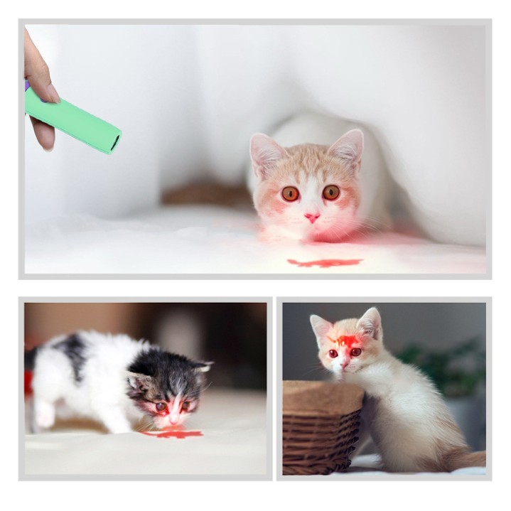 Đèn pin trêu mèo hình dấu chân mèo chiếu ra nhiều hình đáng yêu (4 màu siêu đẹp) - Đồ chơi cho mèo