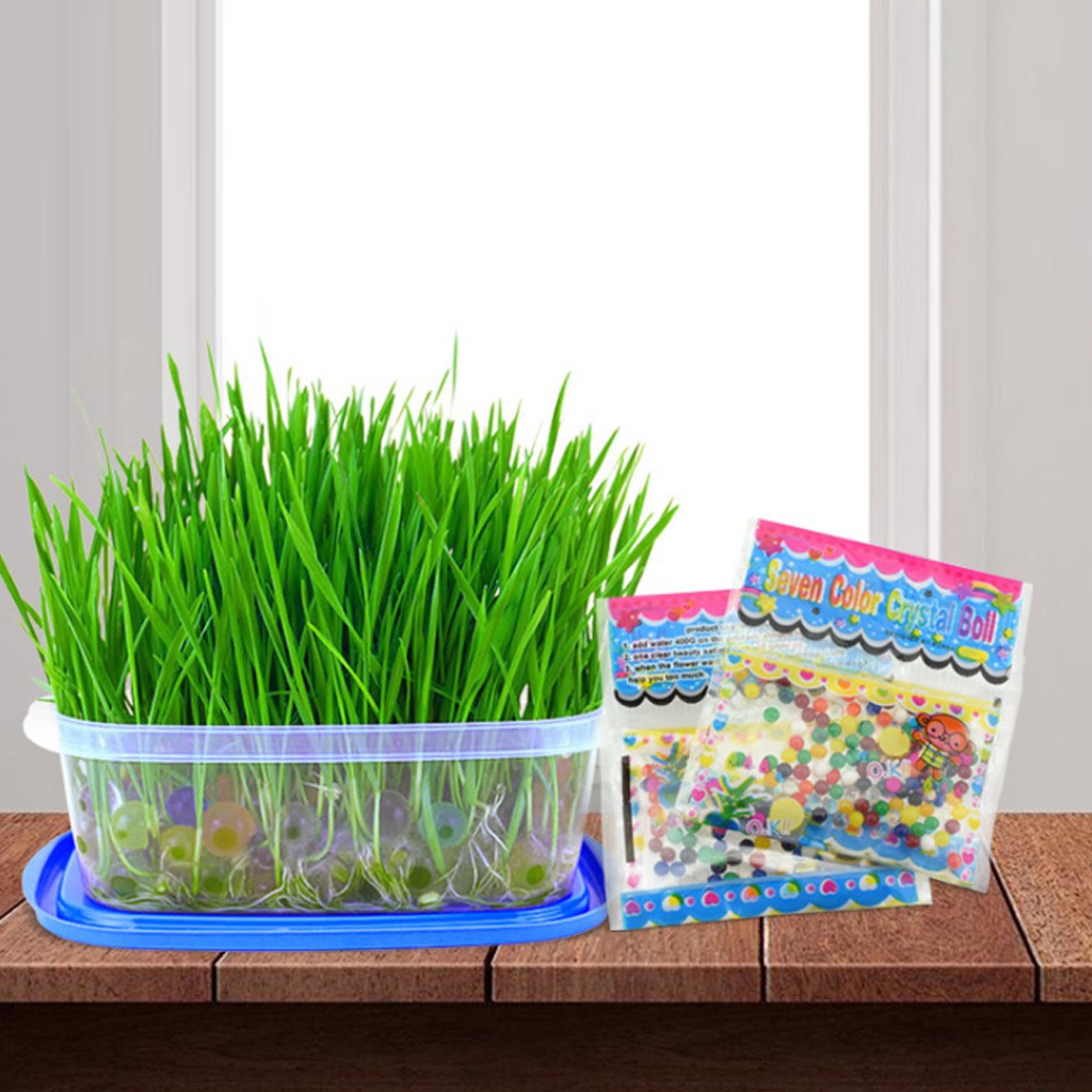 Bùn Cotton Hình Hoa Đính Hạt Đá Nhiều Màu Sắc