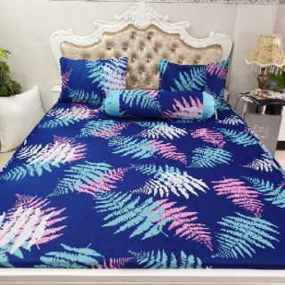 Bộ Drap Thun Hàn Quốc mát lạnh 4 món (Inbox nhiều mẫu lựa chọn)