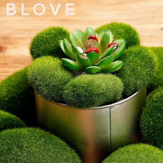 Tiểu cảnh Rong rêu làm phụ kiện terrarium, trang trí sen đá, xương rồng, nhà mô hình, charm slime