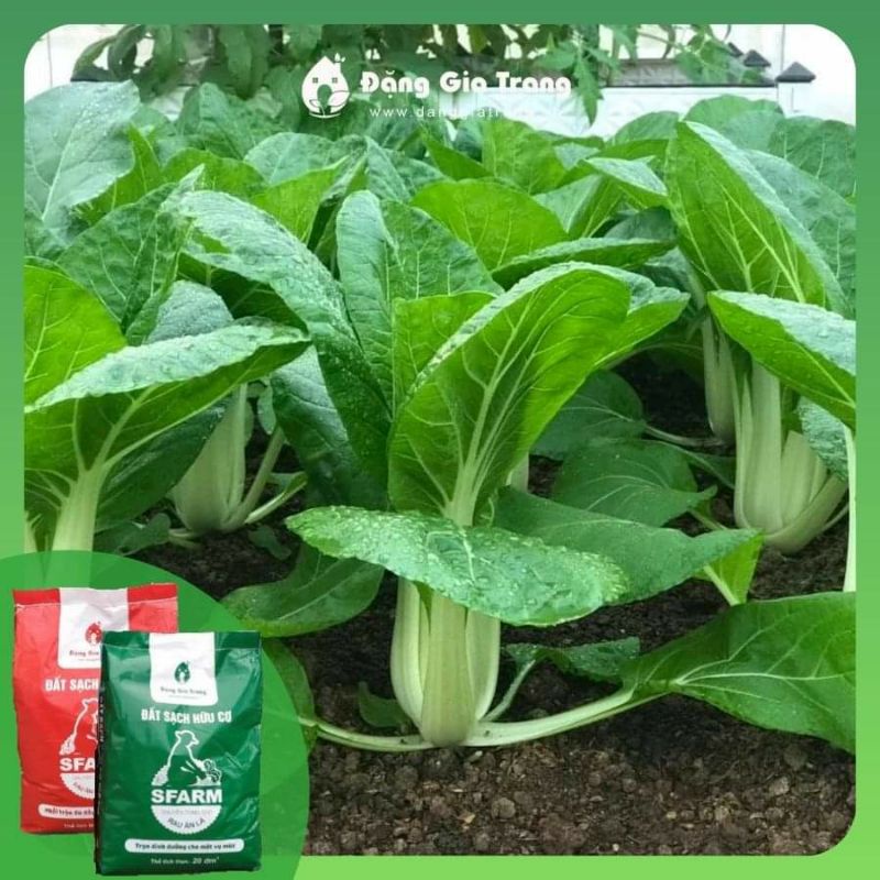 Đất Sạch Hữu Cơ SFARM Đã Trộn Sẵn Và Có Đầy Đủ Phân