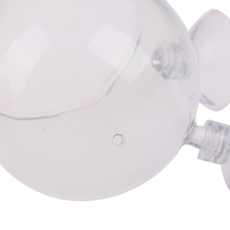 Cốc Thủy Tinh Mini Dùng Để Trồng Cây Thủy Sinh Trong Bể Cá
