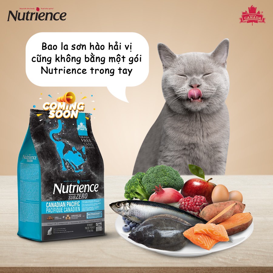 Hạt cho mèo mọi lứa tuổi NUTRIENCE SUBZERO CAT vị cá biển và rau củ- Hạt cao cấp cho mèo 5kg