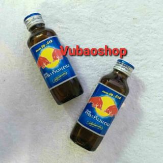 (HCM) Bò húc chai sành Thái Lan