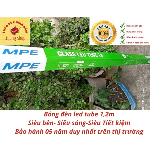 Bóng Đèn led tube hiệu suất cao 1,2m MPE, ánh sáng trắng GT8-120T