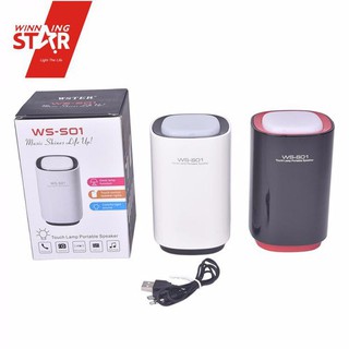 LOA BLUETOOTH WS-S01