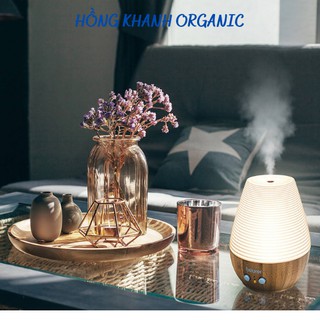 Tinh Dầu Gừng 10ml Lê Quế