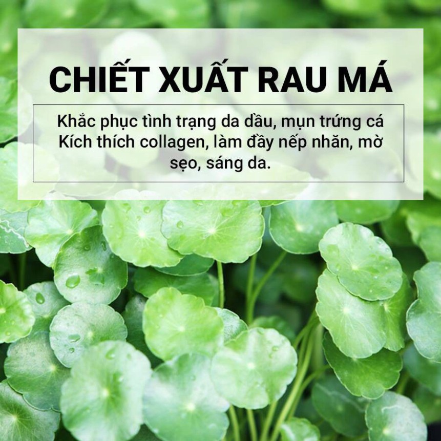 SALE2 [Chính Hãng] Bộ 3 Sản Phẩm Chiết Xuất Rau Má Dịu Nhẹ Skin1004 Madagascar Centella SALE2