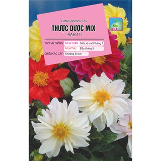 Hạt giống Hoa Thược Dược Mix (VAH.11) – 50 Hạt