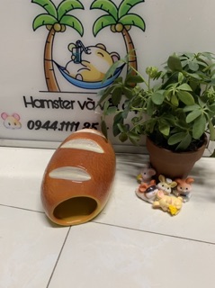Nhà ngủ sứ bánh mì