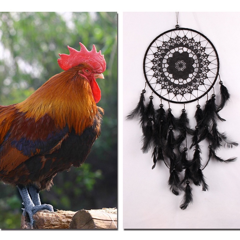 Dream Catcher treo tường trang trí màu đen ☆Mớiyetbloom