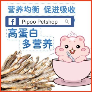 Cá sấy khô cho thú cưng