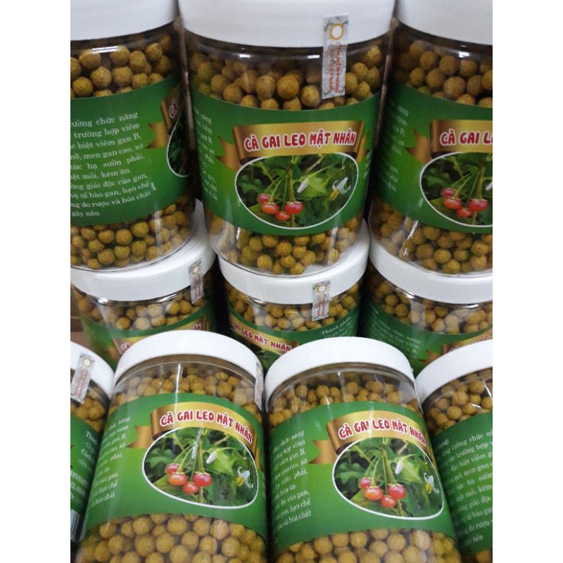 Cà gai leo mật nhân hộp 500g bổ gan, chữa các bệnh về gan