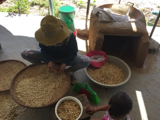 10kg hạt bí châu anh