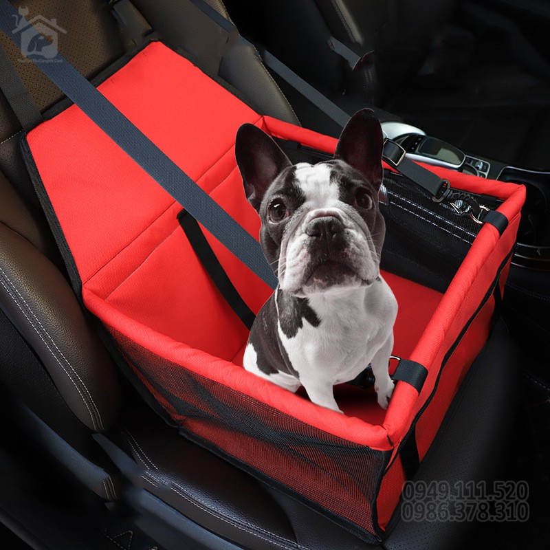 Ghế ngồi ô tô cho thú cưng 40x30x25cm - Ghế ngồi xe hơi cho chó - Cute
