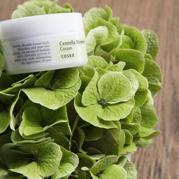 Kem rau má loại bỏ mụn COSRX Centella Blemish cream 30ml