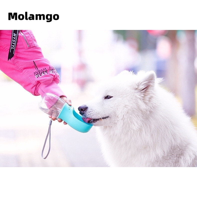 MOLAMGO  Bình Nước Du Lịch Cho Thú Cưng Thiết Kế Tiện Dụng