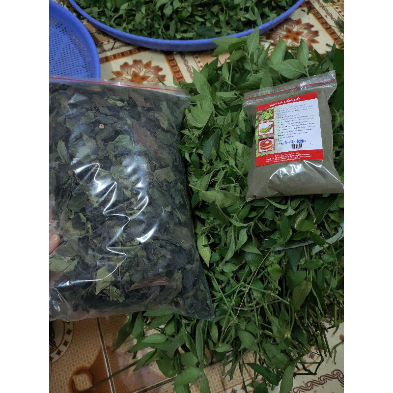 Bột lá cẩm đỏ 50 - 100 gram