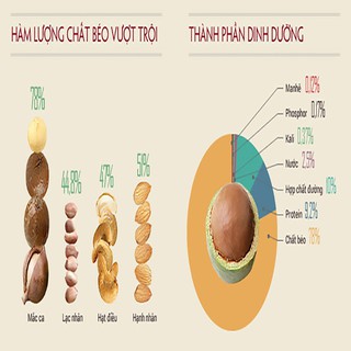 Hạt Macca ÚC đã tách vỏ ( Hộp 500gr)