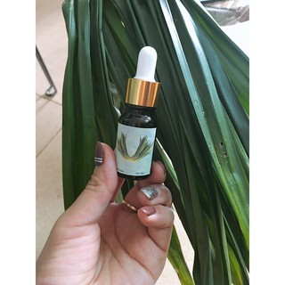 Tinh dầu Lá Nếp thơm lọ 10ml