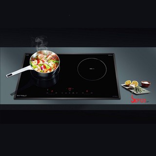 Bếp từ Eurosun EU-T256Max
