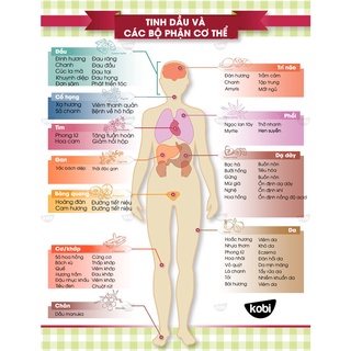 Tinh dầu sả java kobi citronella essential oil -30ml