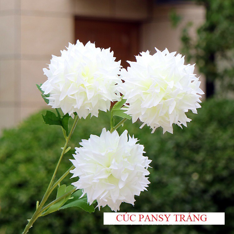 HOA CÚC PANSY giả loại 1 giống thật - 1 Cành 3 Bông Lớn dài 67cm