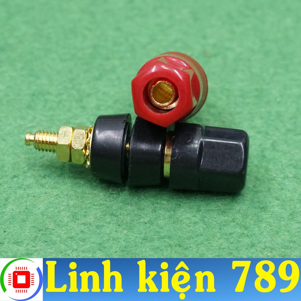 Cọc loa và Amply jack bắp chuối V1