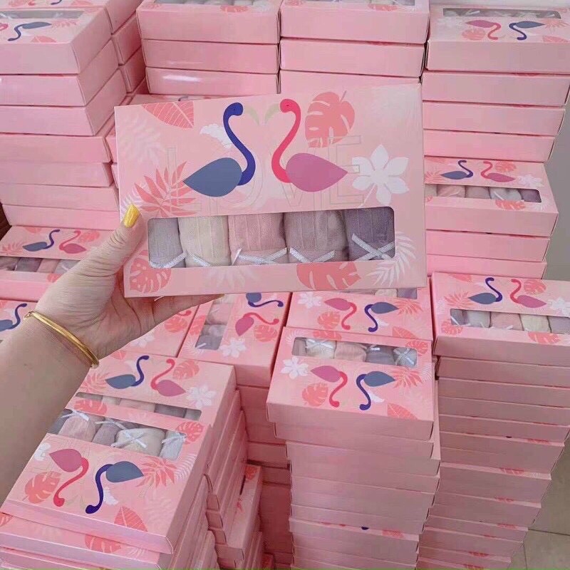 Hộp 5 Quần Lót Nữ Cotton Thiên Nga Xuất Nhật Kháng Khuẩn Cao Cấp