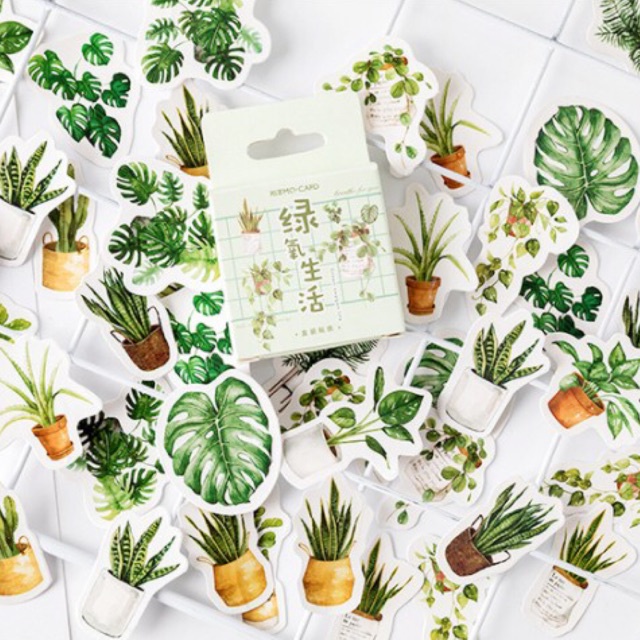 KimiTape Sticker hình dán vintage chậu cây 46 hình