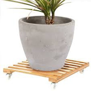 Đế bánh xe chậu hoa gỗ tràm
