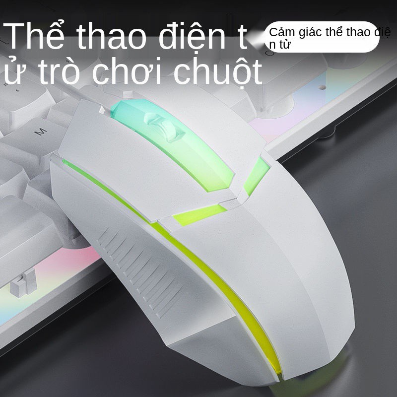 bàn phím có dây văn phòng bộ chuột gõ đặc biệt, cảm giác thao tác, máy tính để tắt tiếng trò chơi game bên ng | BigBuy360 - bigbuy360.vn