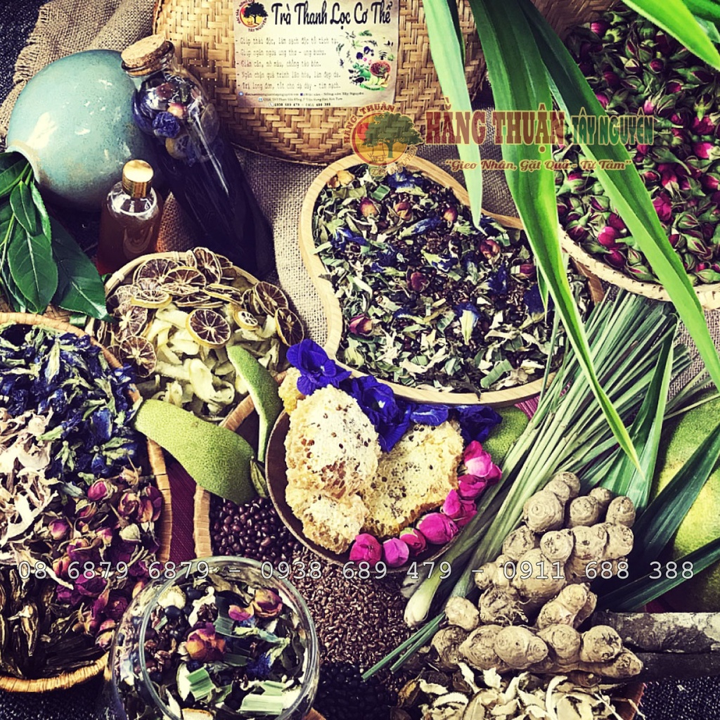 Trà Giảm Cân Detox Hằng Thuận Tây Nguyên