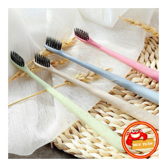 combo 3 chiếc bàn chải đánh răng lúa mạch