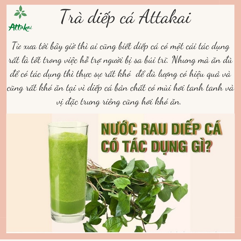 Trà diếp cá Attakai hộp lớn sang trọng 60 gói túi lọc tiện lợi pha ngay uống liền thanh nhiệt cơ thể