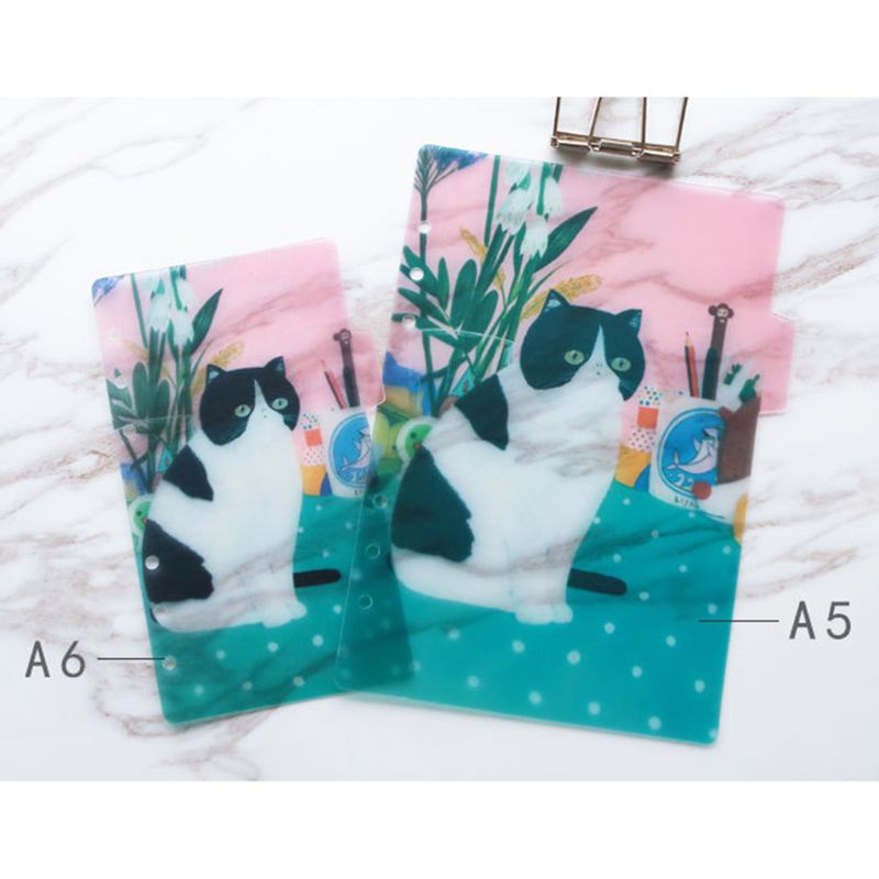 Bảng Chia Chỉ Số 6 Lỗ Cho Sổ Lưu Niệm / Kế Hoạch