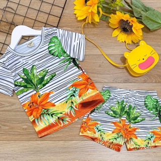 Bộ thun lạnh 3d size đại