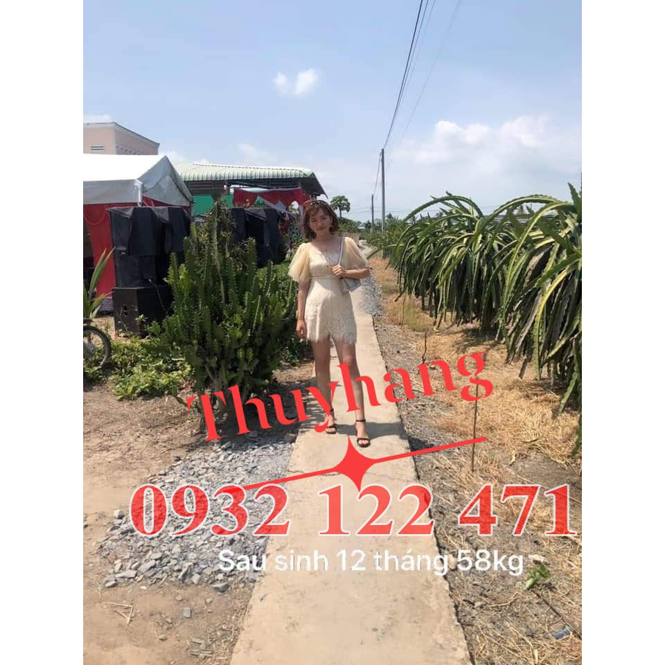 Giảm Cân Linh Chi Hàn Quốc | BigBuy360 - bigbuy360.vn