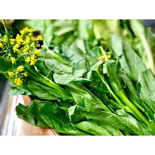 Hạt Giống Cải Ngọt Ăn Bông Cải Ngồng 20g/Gói  - Trồng Quanh Năm, Cọng và Lá Xanh Tươi, Ăn Ngon và Ngọt