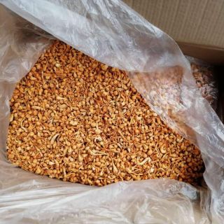 ĐÔNG TRÙNG HẠ THẢO KHÔ - 100GRAM