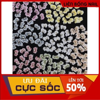 Hoa bột nail góc - móng ngắn ( mẫu mới )