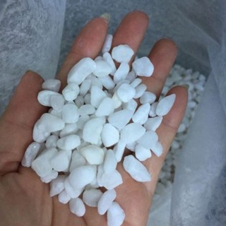 1kg sỏi trắng-đá trắng trang trí bể cá (kích thước 1-2 cm)