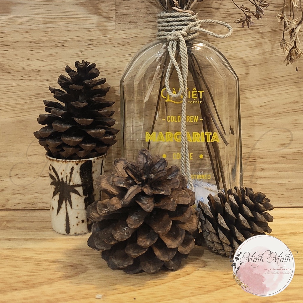 Quả Thông Khô Trang Trí Noel, Quả Thông Mini- Combo 1Kg