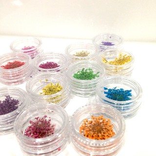 Hoa Khô Chùm - Set 12 màu hoa chùm đắp gel ẩn phong cách Hàn Nhật