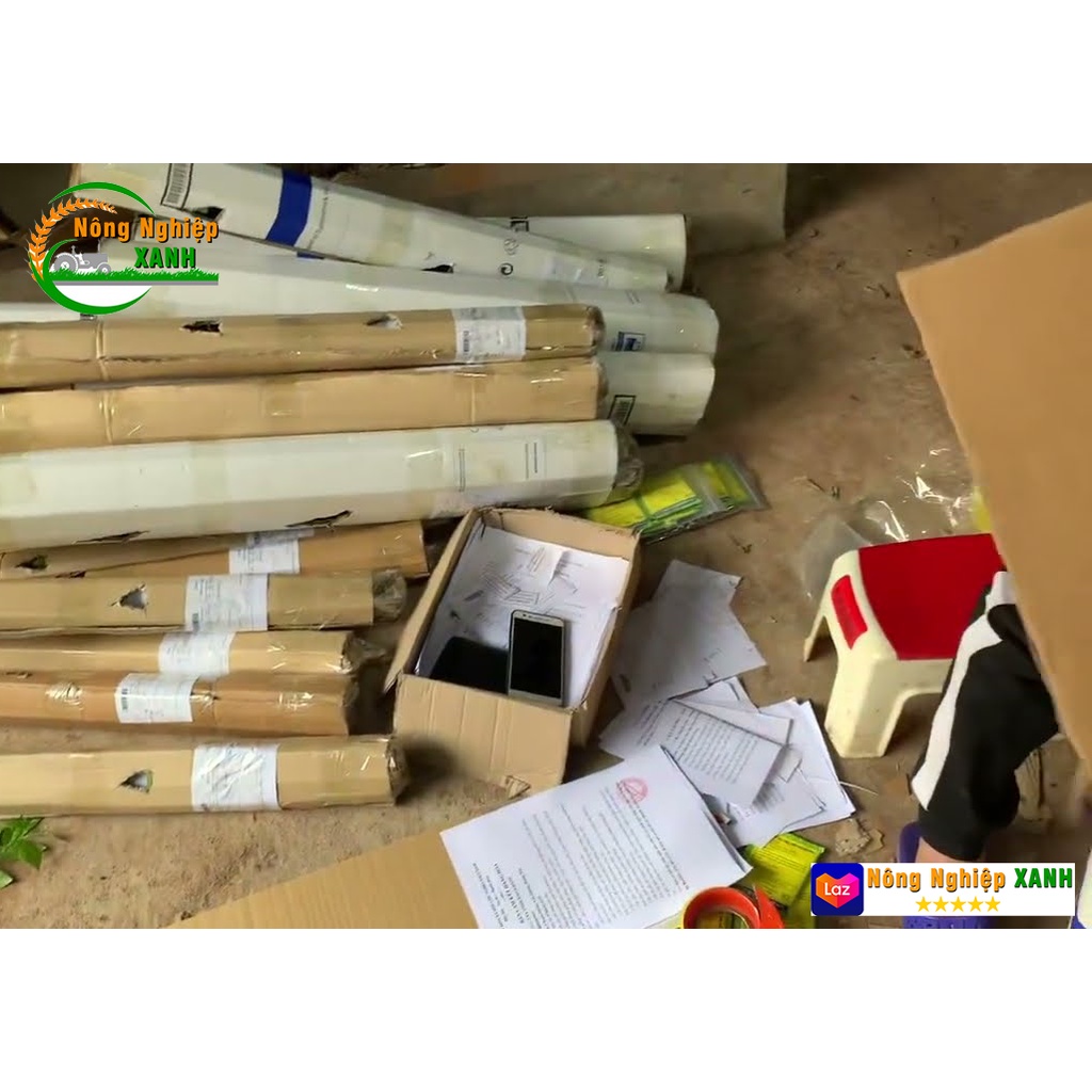 Cây giống Cherry Brazil nhiệt đới Cherry anh đào chiều cao 50cm - 80cm dễ trồng dễ chăm sóc thích hợp khí hậu Việt Nam