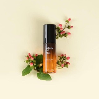  SÉT DƯỠNG DA CƠ BẢN INCELLDERM