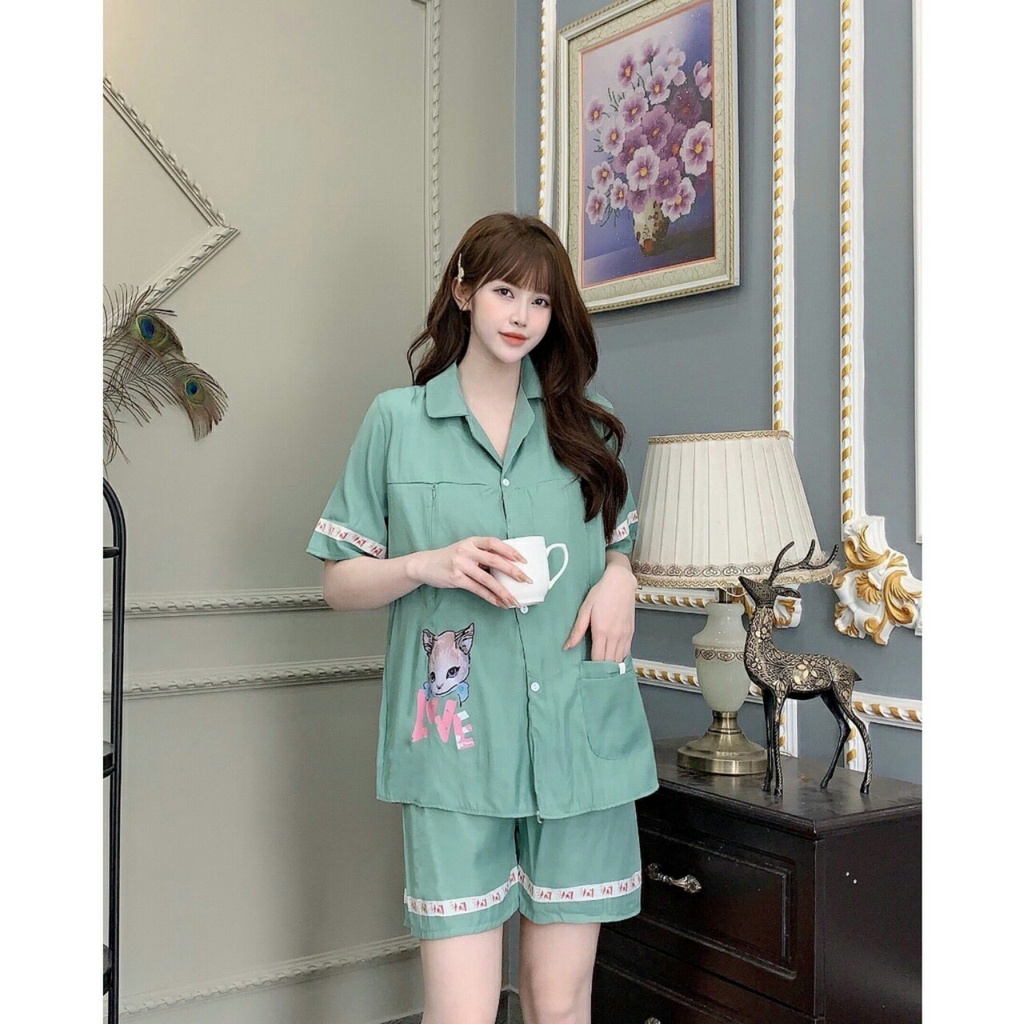 Bộ Bầu Sau Sinh Cộc Tay Khóa Kéo Dọc Cho Con Bú Chất Đũi Hàn Mát Mềm A073 Lin Store66