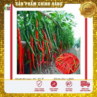 Hạt giống ớt đậu đũa 30 hạt
