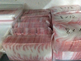 700g túi zipper chỉ đỏ
